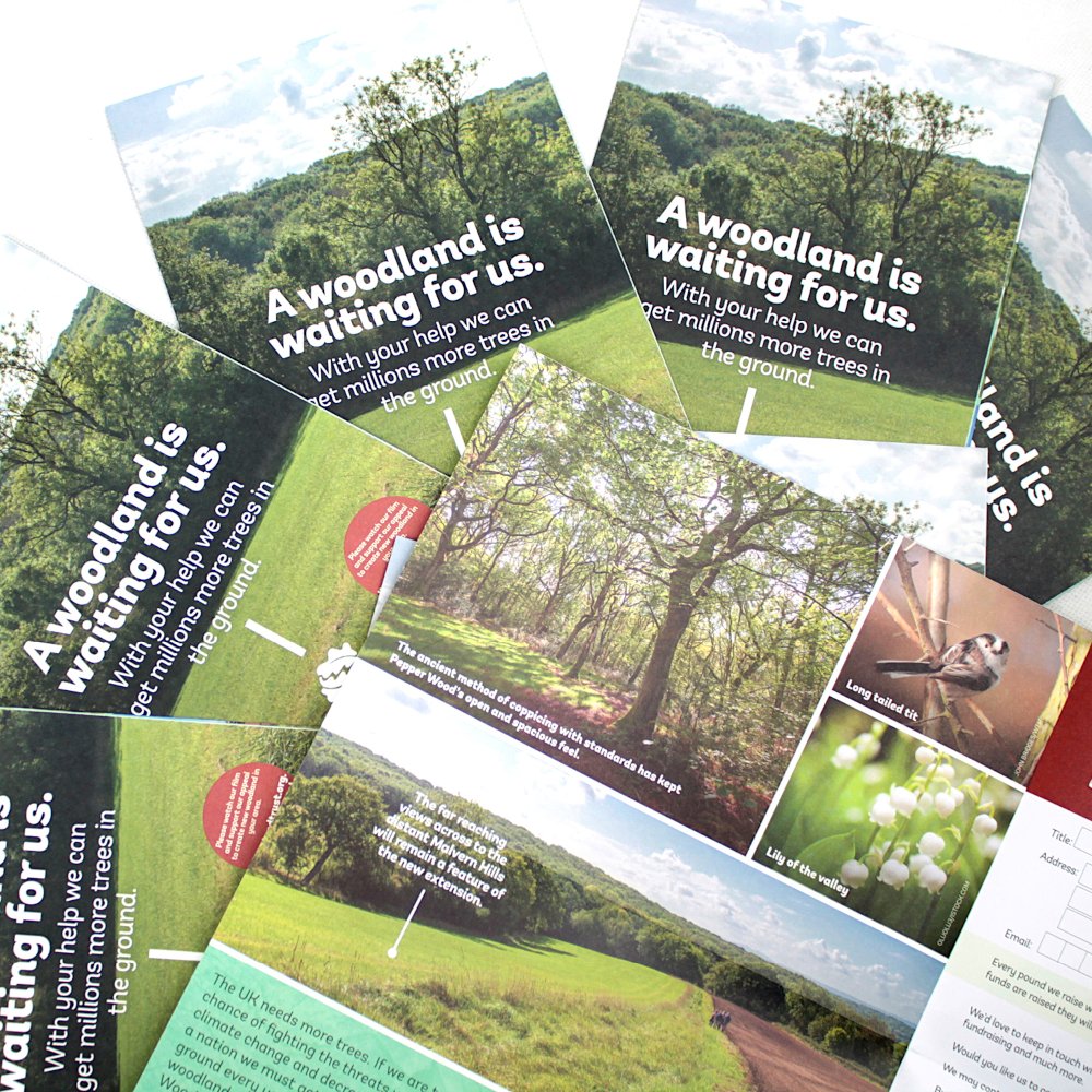 leaflets-flyers-mail-solutions